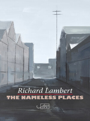 cover image of The Nameless Places